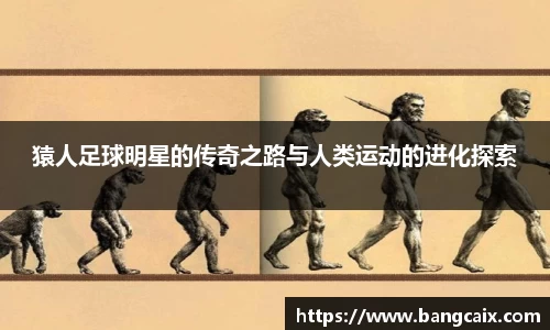 猿人足球明星的传奇之路与人类运动的进化探索