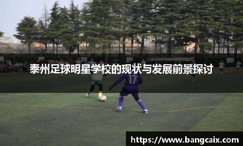 泰州足球明星学校的现状与发展前景探讨