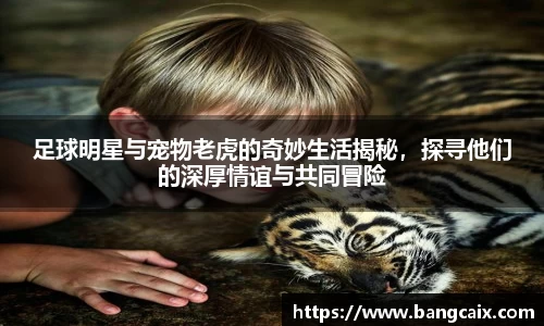 足球明星与宠物老虎的奇妙生活揭秘，探寻他们的深厚情谊与共同冒险